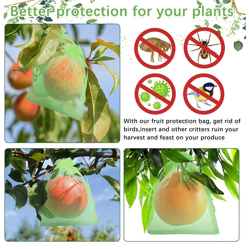 100Pcs Green Protective Bag wi - đánh giá và giá Bonsai Garden Tree