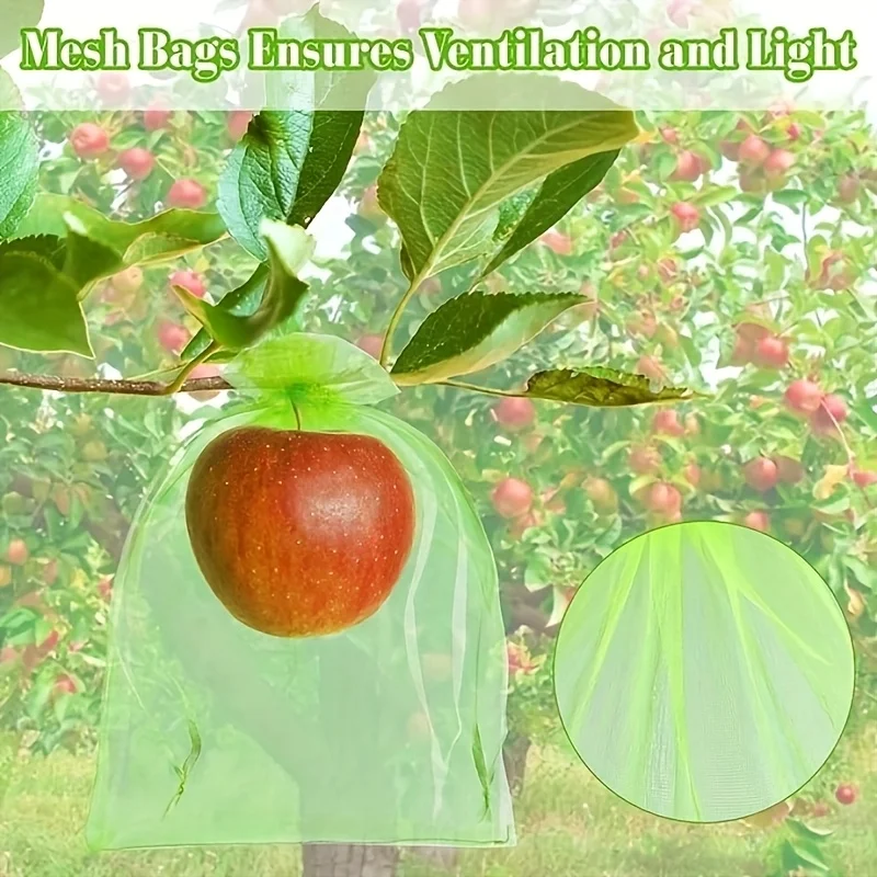 100Pcs Green Protective Bag wi - đánh giá và giá Bonsai Garden Tree