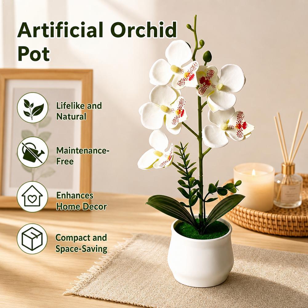 5 Flower Butterfly Orchid Simu - đánh giá và giá Bonsai Garden Layout