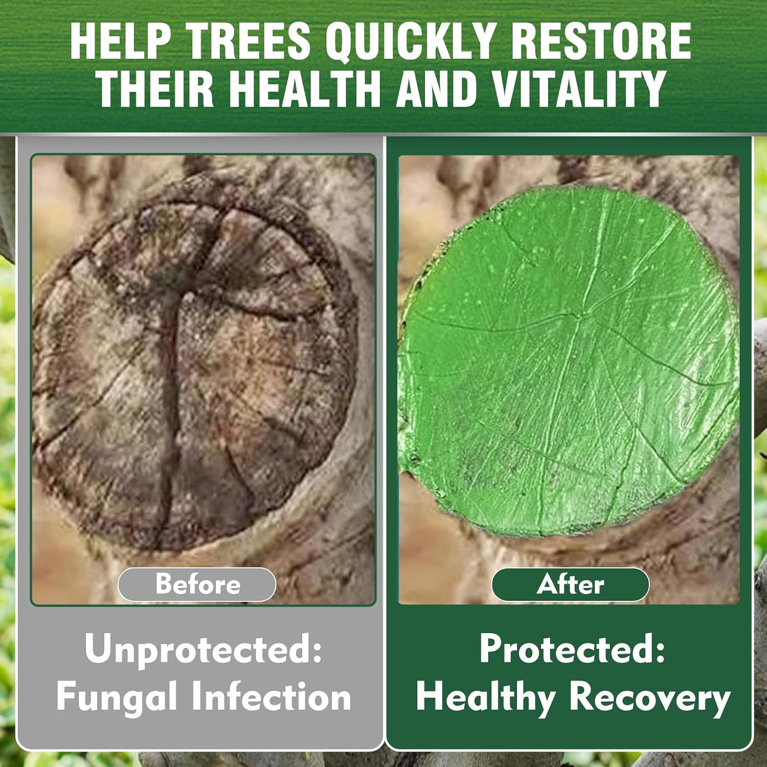Tree Grafting Paste & Pruning  - đánh giá và giá Bonsai Garden Tree