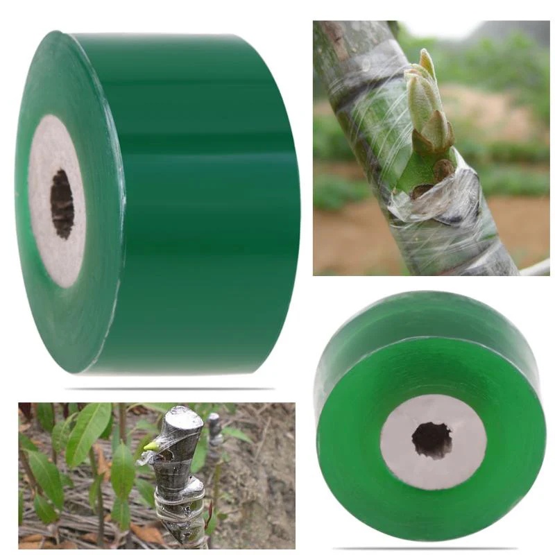 PE Self-adhesive Grafting Tape - đánh giá và giá Bonsai Garden Tree
