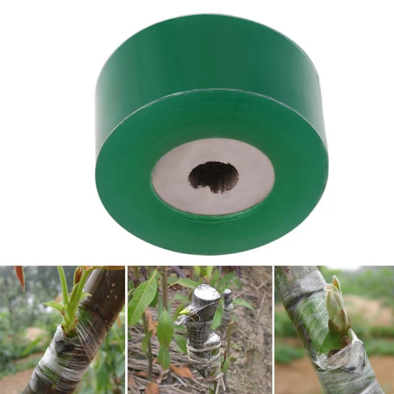 PE Self-adhesive Grafting Tape - đánh giá và giá Bonsai Garden Tree