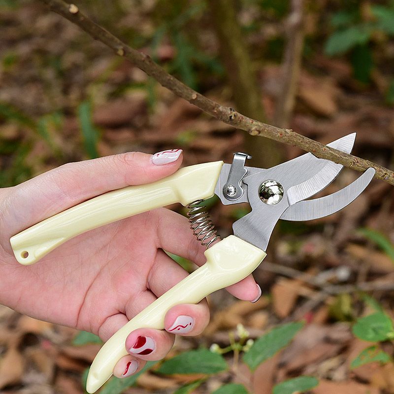 Labor‑Saving Garden Pruning Sh - đánh giá và giá Bonsai Garden Tree