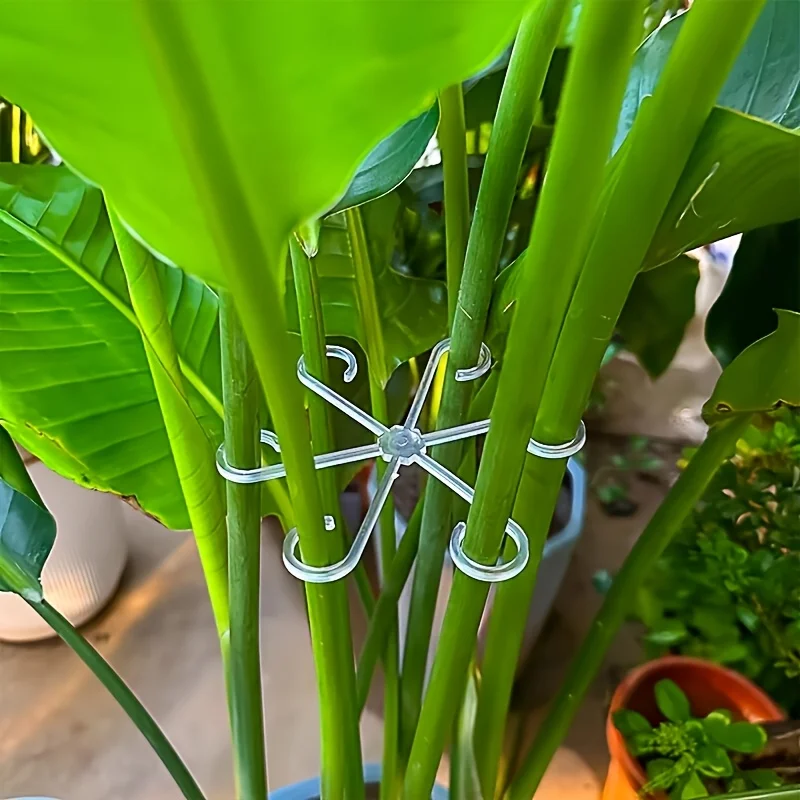 4‑Piece Plant Stem Support Cli - đánh giá và giá Bonsai Garden Tree