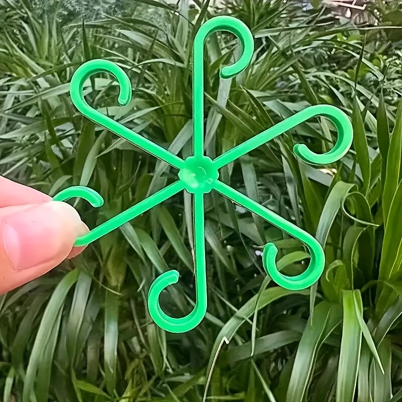 4‑Piece Plant Stem Support Cli - đánh giá và giá Bonsai Garden Tree