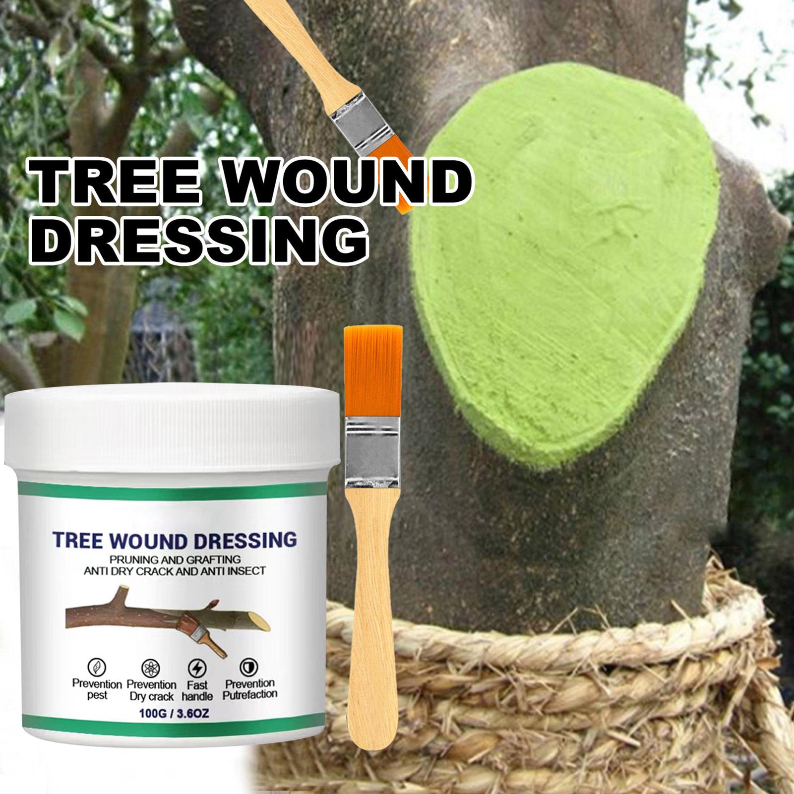 100g Tree Wound Pruning Sealer - đánh giá và giá Bonsai Garden Tree