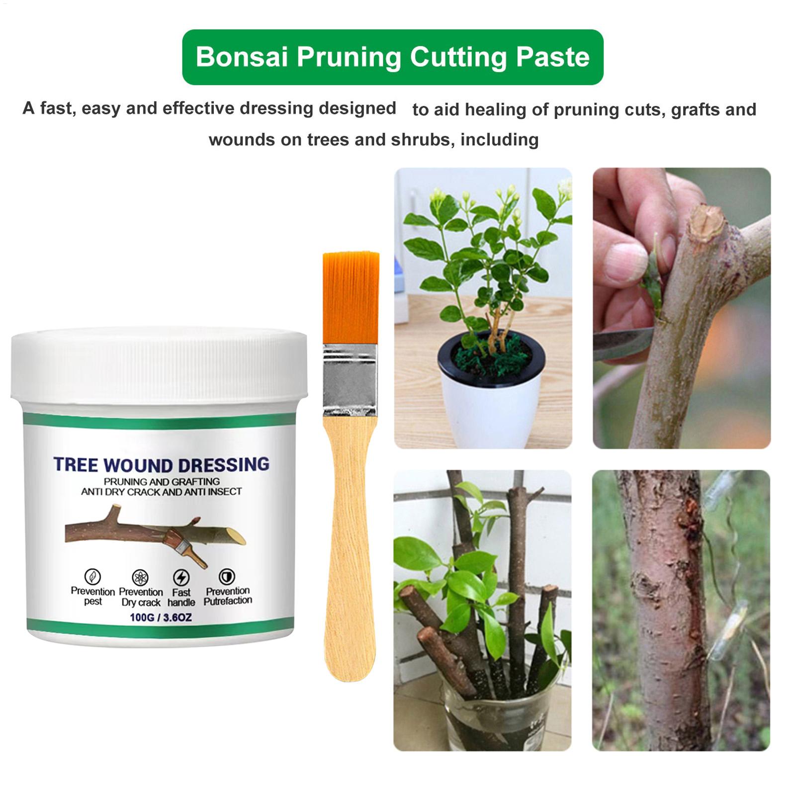 100g Tree Wound Pruning Sealer - đánh giá và giá Bonsai Garden Tree