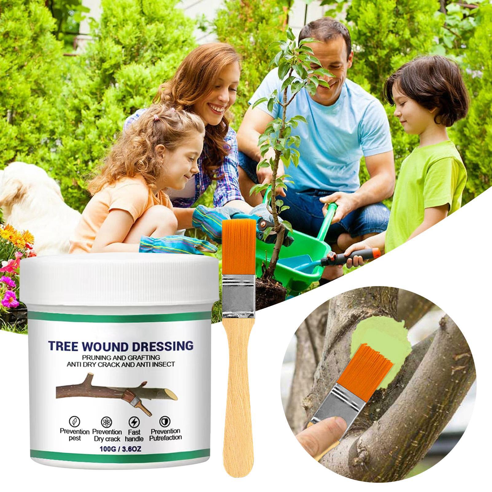 100g Tree Wound Pruning Sealer - đánh giá và giá Bonsai Garden Tree
